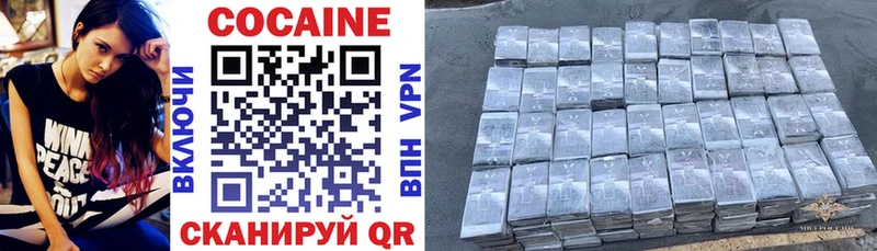 купить закладку  Ленск  Cocaine FishScale 