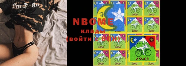 крисы Шадринск